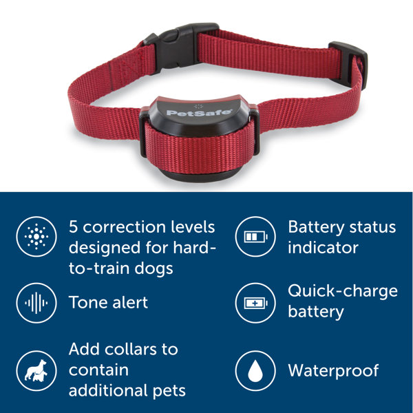 PetSafe® Stay + Play Wireless Fence Stubborn Dog Containment System